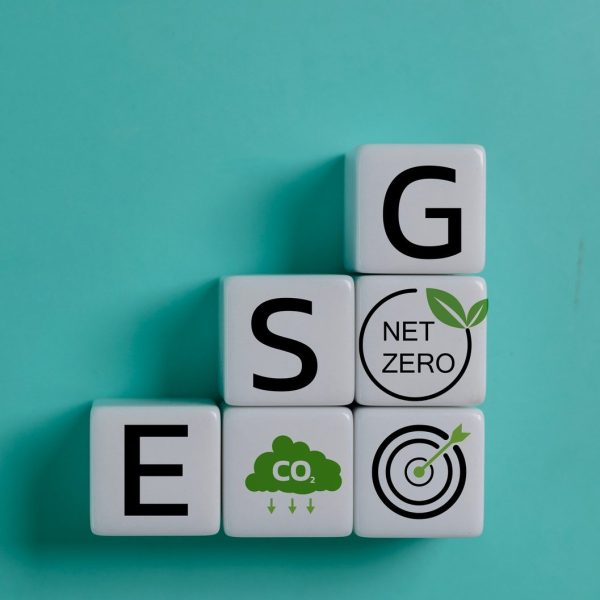 ESG Concepts on Environment, Society and Governance in sustainable organization with ESG acronym